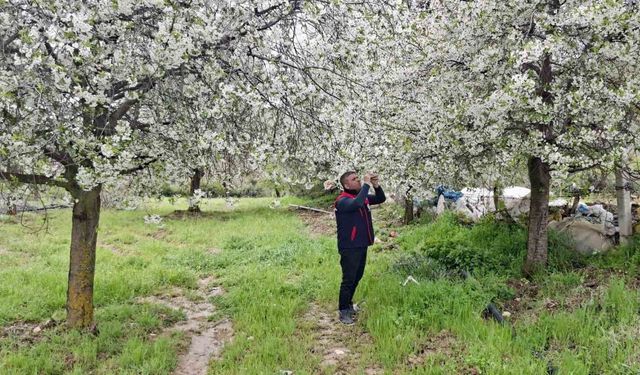 Zirai don uyarısı yapılan bölgelerde hasar tespit çalışması yapıldı