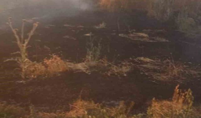 Anız yangını tarım arazileri ve ormanlık alana sıçramadan söndürüldü