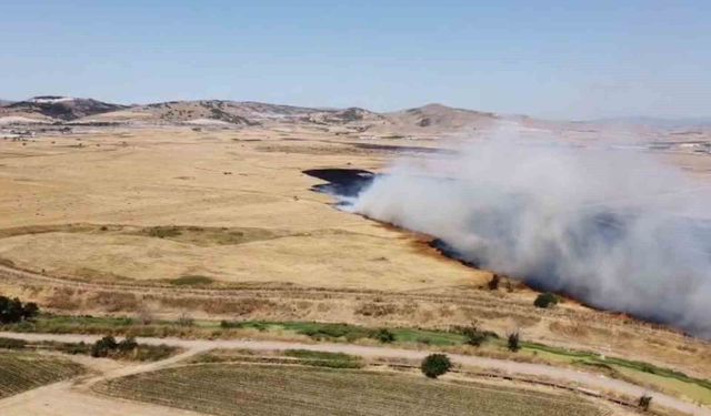 Arazi yangını etrafı küle çevirdi