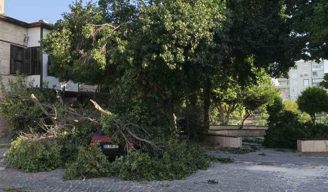 Fırtına ağaçları araçların üzerine devirdi, tekneyi kıyıya vurdu