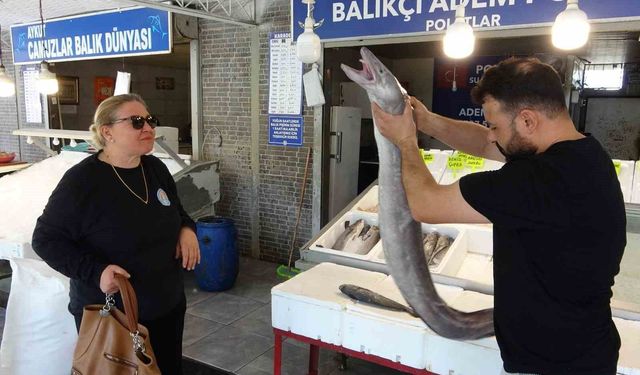 Mersin'de Yakalanan 2 Metrelik Dev Yılan Balığı Tezgahın İlgi Odağı Oldu