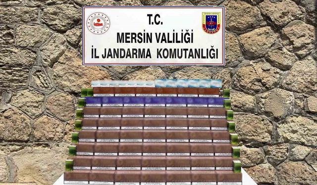 Mersin'de 3 bin 850 paket kaçak elektronik tütün ele geçirildi
