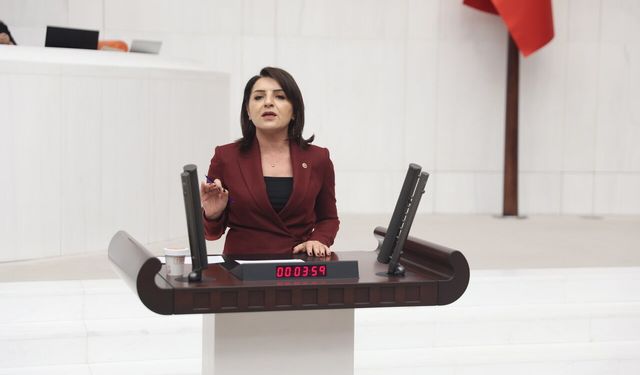 CHP'li Gülcan Kış: "Türkiye'de Geçimin Adı Kredi Kartı"