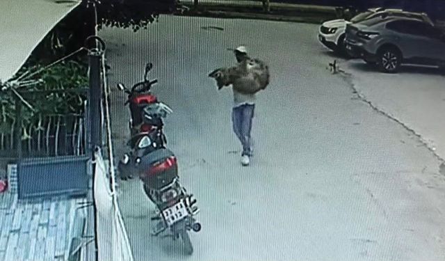 Araçla ezilen köpek kurtarılamadı