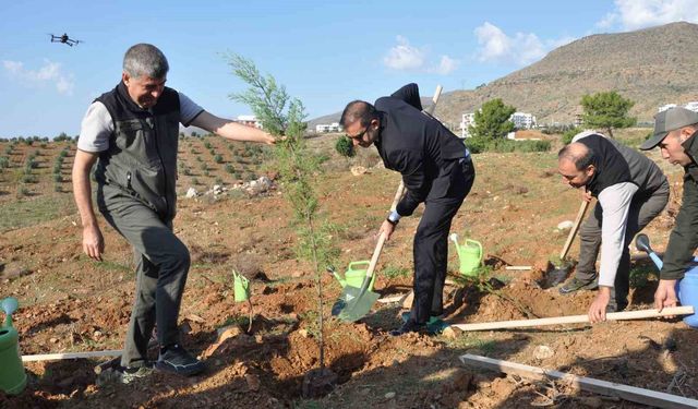Silifke'de Şehit Savcı Mehmet Selim Kiraz Hatıra Ormanı yeniden yeşilleniyor