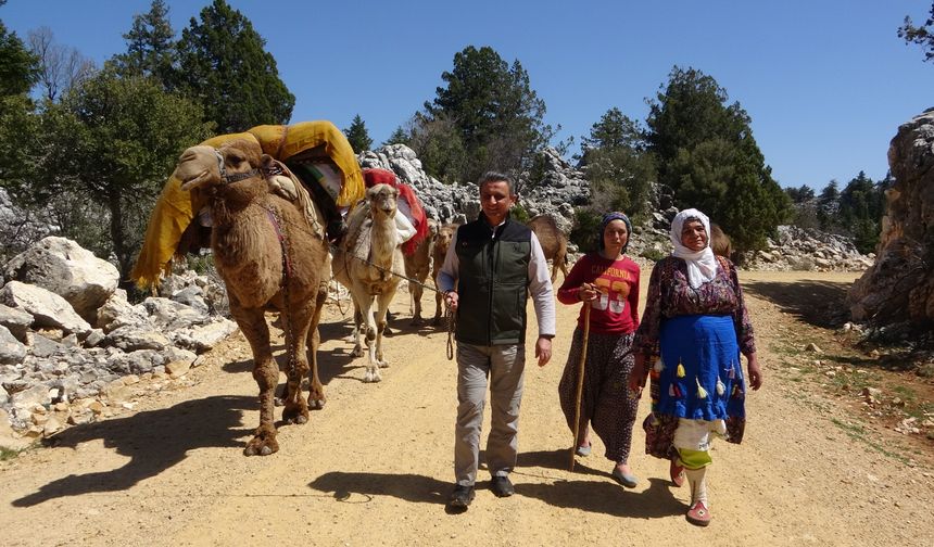 Sarıkeçili Yörükleri yaylalara göç yolculuğuna başladı