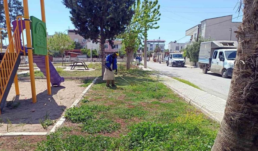 Akdeniz’in yeşil dokusu koruma altında