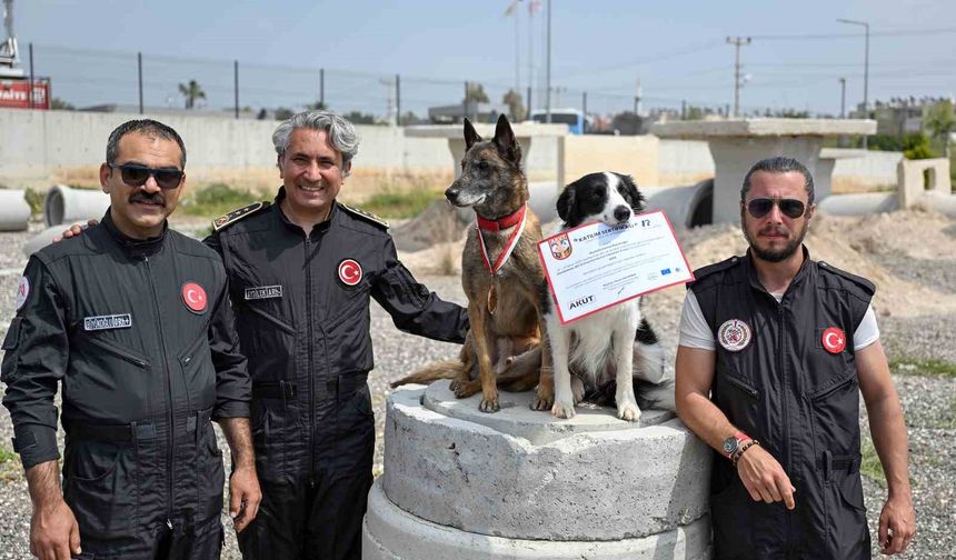 Mersin itfaiyesinin kahraman patileri Ares ve Rex’ten önemli başarı