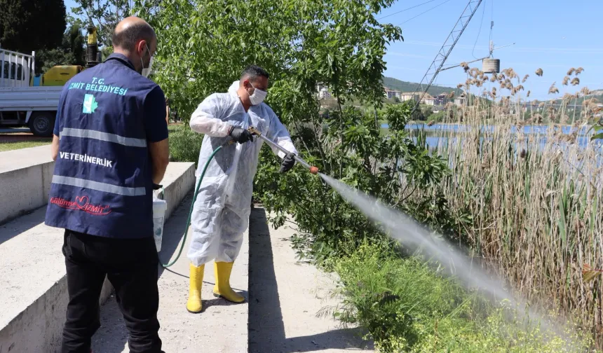 İzmit'te halk sağlığı için yoğun ilaçlama mesaisi
