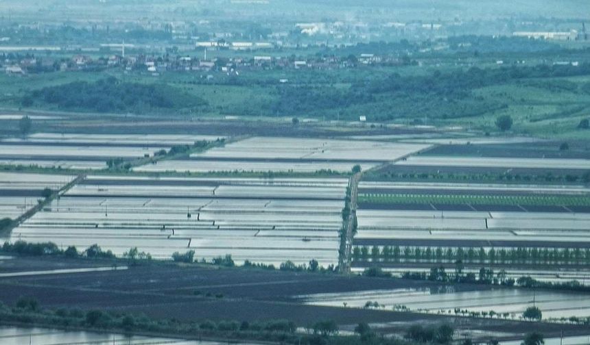 2025 sezonunda çeltik ekimine sınırlama uygulanacak
