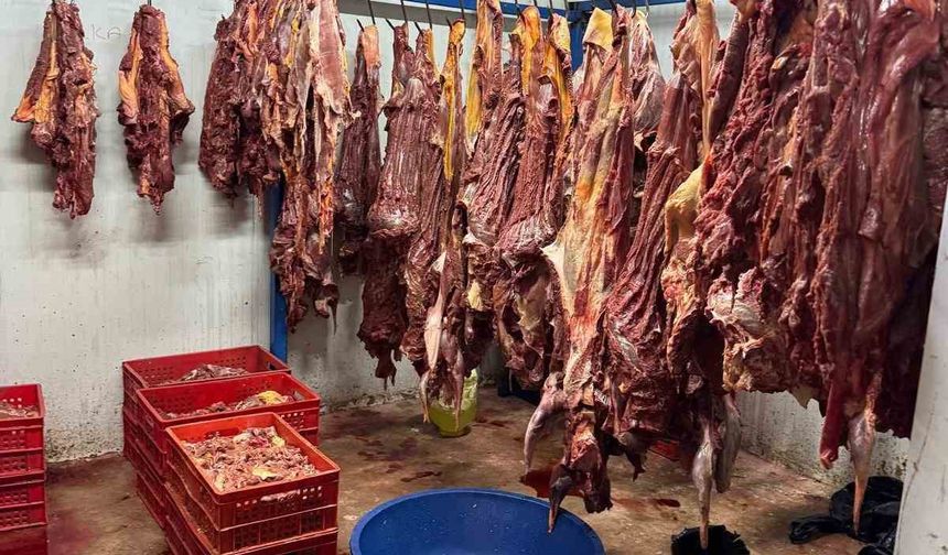 Adana’da 3 ton bozulmuş at eti ele geçirildi