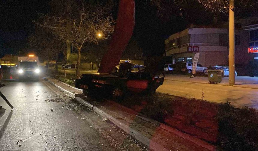 Ağaca çarpan otomobilin sürücüsü hayatını kaybetti