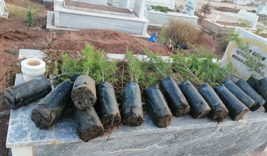Anneler Günü’nde mezarlıkları yeşillendirdiler