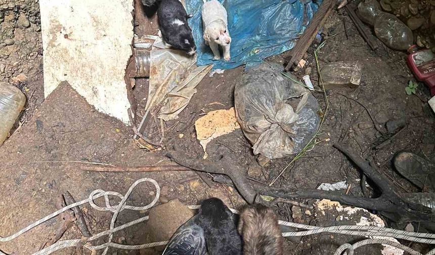 Antalya’da kuyuya düşen 7 yavru köpeği itfaiye kurtardı