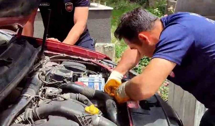 Araç motorundan çıkan sürpriz yüzleri gülümsetti