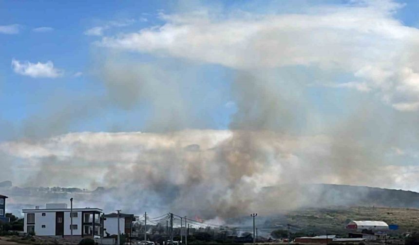 Ayvacık’ta otluk alanda başlayan yangın yerleşim yerlerine sıçramadan kontrol altına alındı
