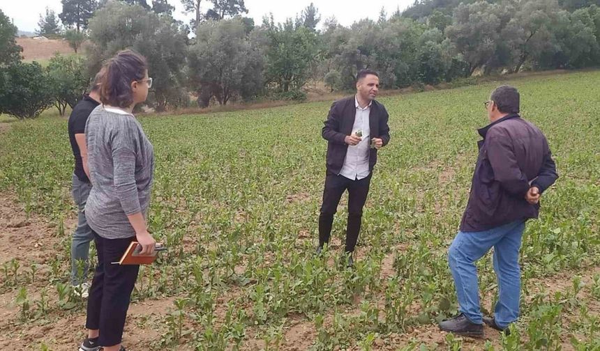 Büyükşehir’den dolu afetine karşı hızlı müdahale