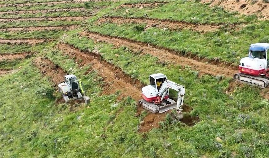 Çamardı’da 227 hektarlık alanda ağaçlandırma yapıldı