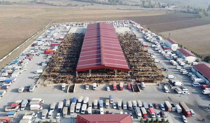 Çoru’da kurban pazarı yarın açılıyor