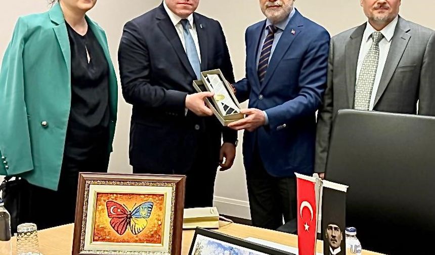 Cumhurbaşkanı Başdanışmanı Topçu: "Hindistan’ın Pakistan’a yaptığı bu kışkırtıcı saldırısını kınıyoruz"