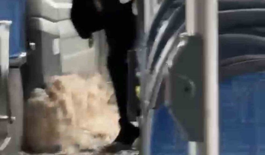 Diyarbakır’da sağanak yağış nedeniyle biriken su halk otobüsüne taştı