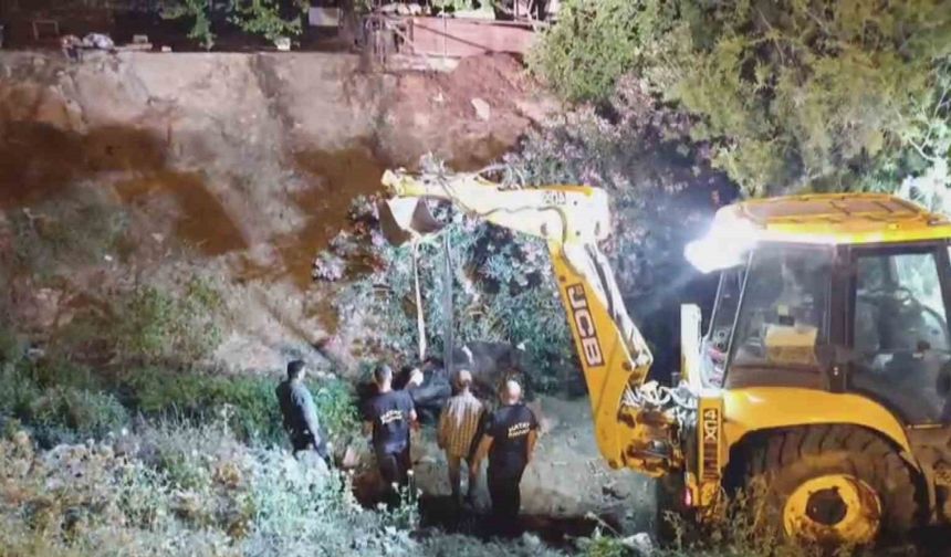 Düştüğü su kanalında çamura saplanan inek, kepçeyle kurtarıldı