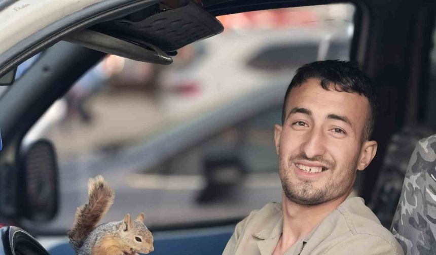 Eliyle beslediği sincap, peşini bırakmadı