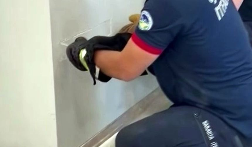 Fabrika duvarına sıkışan yavru kedinin imdadına itfaiye yetişti