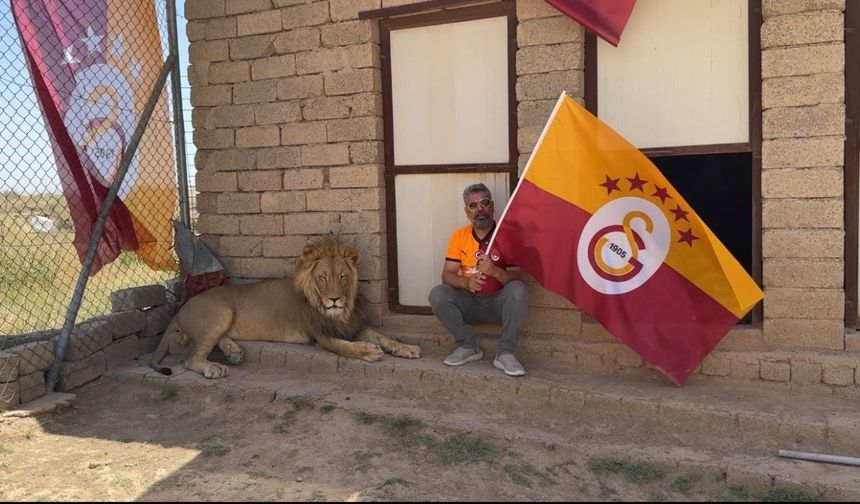 Galatasaraylı taraftar, şampiyonluğu aslanlarıyla kutladı