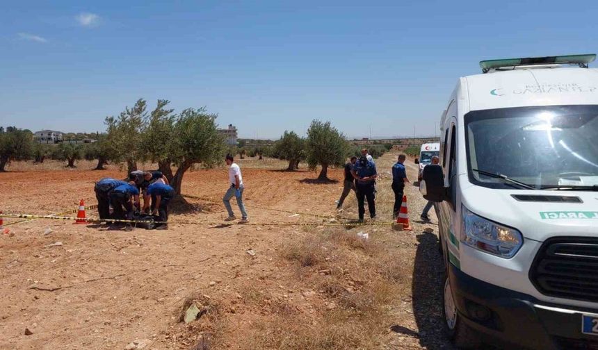 Gaziantep’te bir genç zeytin tarlasında ölü bulundu