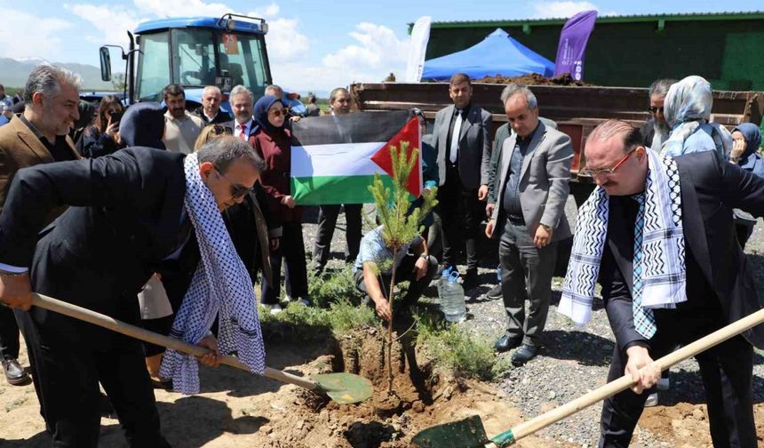 Gazze hatıra ormanında umut yeşerecek