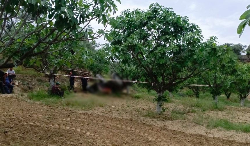 Germencik’te devrilen traktörün altında kalan şahıs hayatını kaybetti