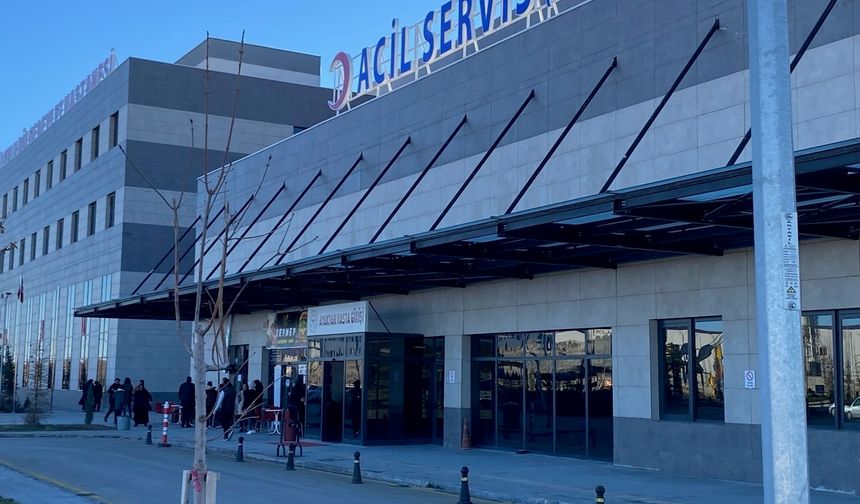 Havyan otlatma kavgası kanlı bitti: 1 yaralı
