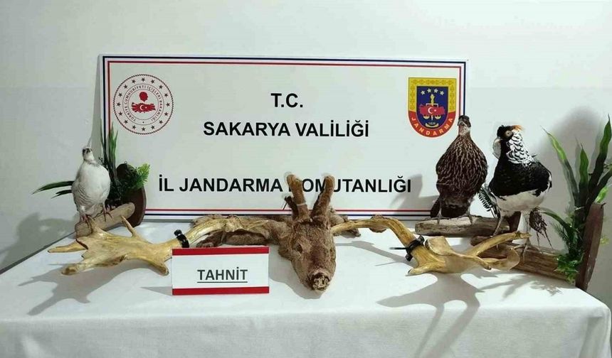 Hayvanat bahçesi gibi ev: Evinden çıkanlar hayrete düşürdü