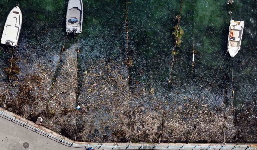 İstanbul Boğazı’ndaki kirlilik havadan görüntülendi