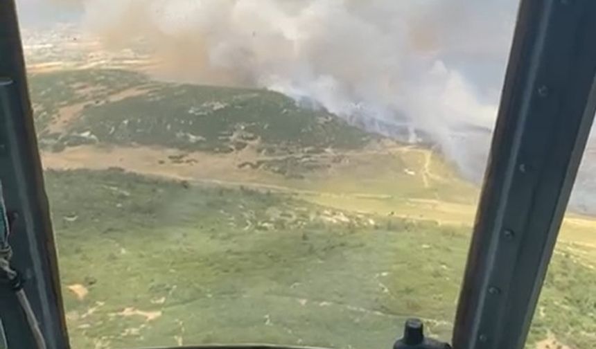İzmir Foça’da tarım arazisinde başlayan yangın ormana sıçradı