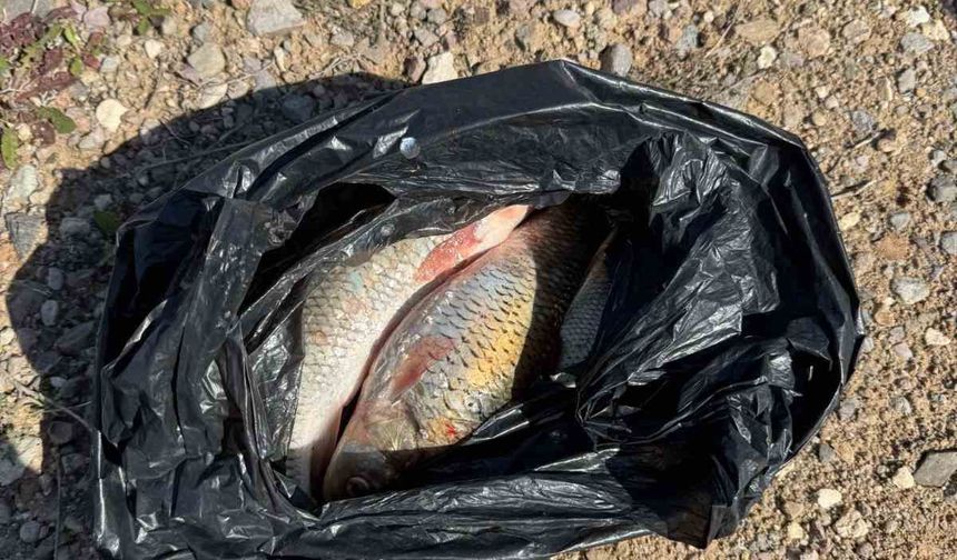 Kaçak Balık avı yapan 2 kişi yakalandı