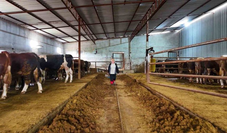 Kadınsın yapamazsın dediler, çiftlik kurdu
