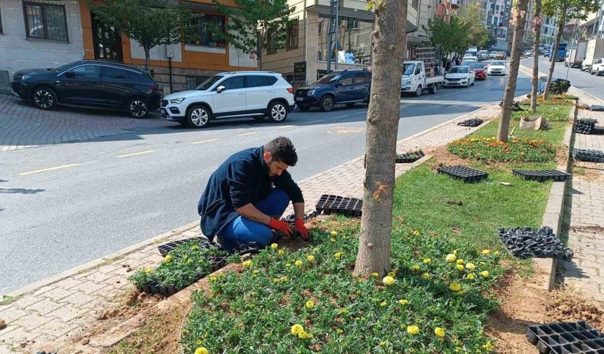 Kağıthane’de yeşil alanlarda bakım çalışması yapıldı