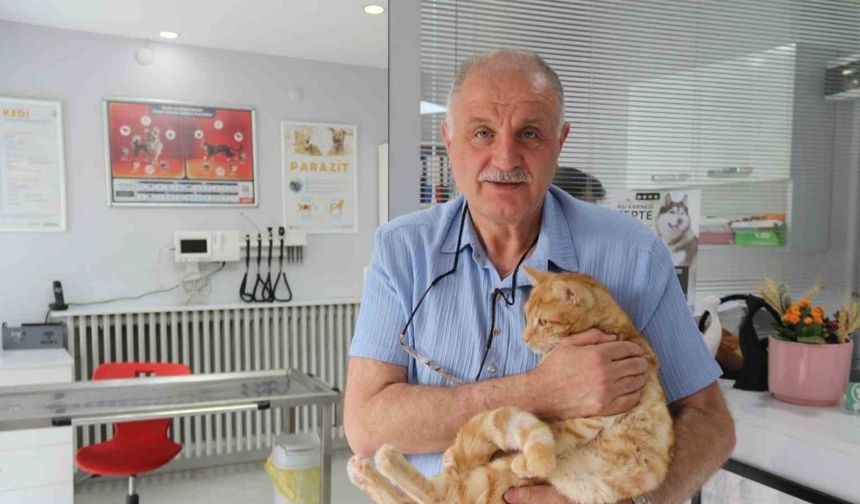 Kedisini veterinere yetiştirmeye çalışırken trafik cezası yedi, itiraz etti