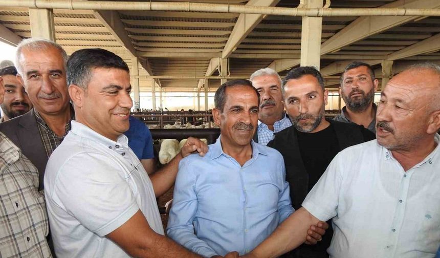 Kurban Bayramı öncesi hayvan pazarları hareketlendi