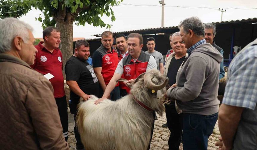 Kurban pazarlarında sağlık ve hijyen kontrolü