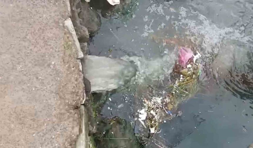 Marmara Denizi’nde kirliliğe neden olan Çınarcık Belediyesi’ne 1,3 milyon lira ceza