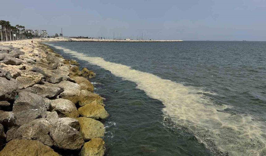 Mersin Körfezi’nde ’alg patlaması ve müsilaj kalıntıları’