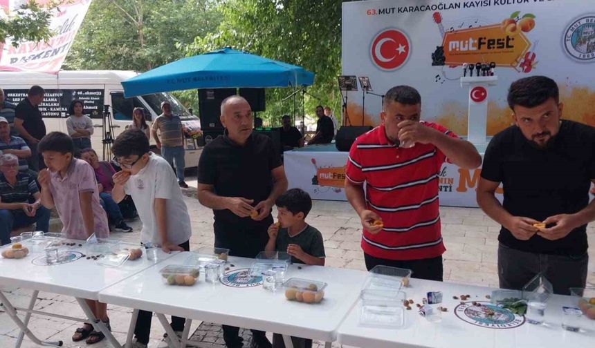 Mut Karacaoğlan ve Kayısı Festivali coşkulu başladı
