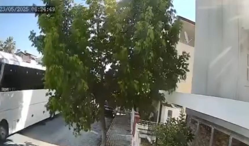 Otobüs şoförü sokak köpeğini ezdi