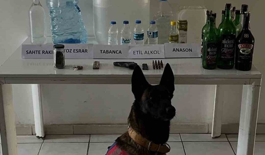 Samsun’da 65 litre etil alkol ele geçirildi