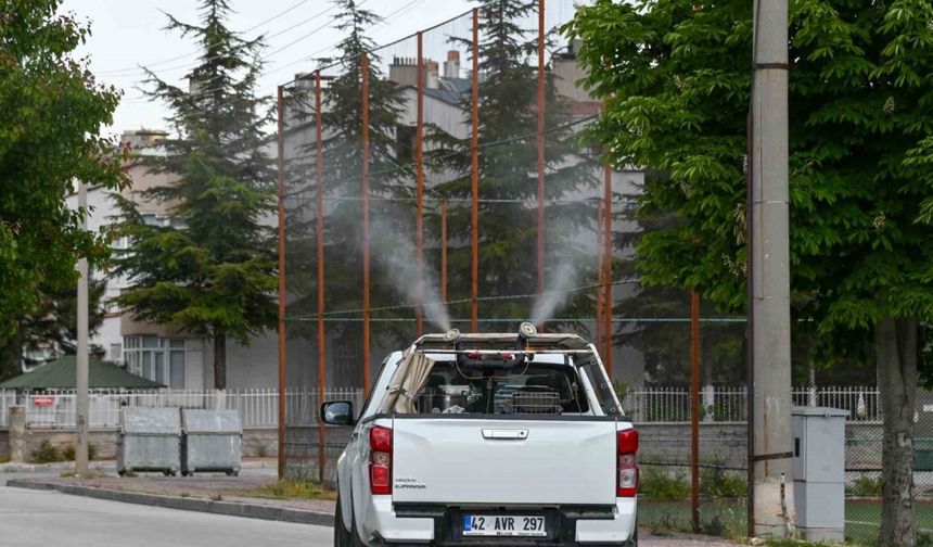 Selçuklu’da ilaçlama çalışmalar başladı