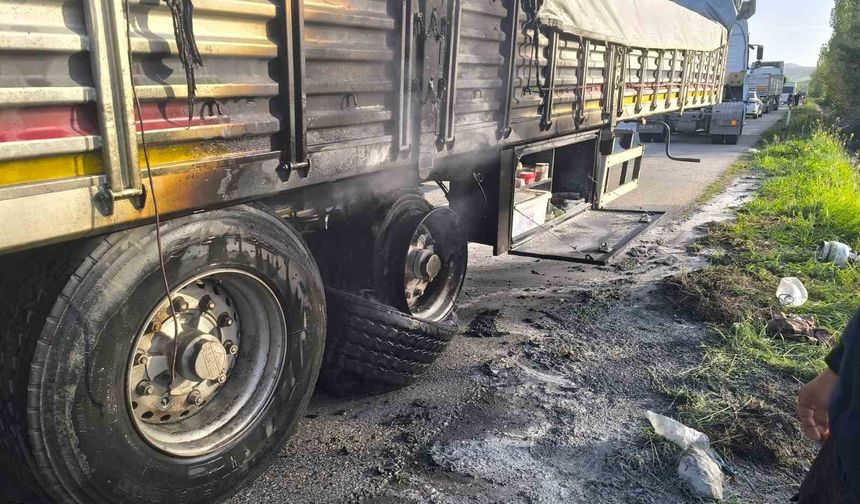Seyir halindeki tırın dorsesi alev aldı: 1 yaralı