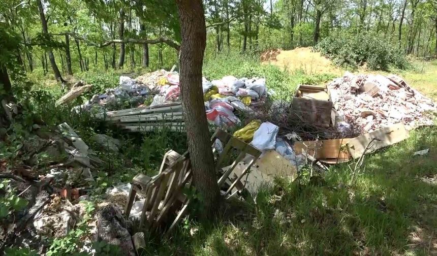 Şile’de ormanlık alanlar çöpten geçilmiyor